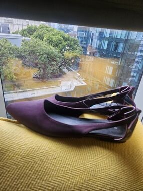 Women's Pointed Toe  Flats in Plum